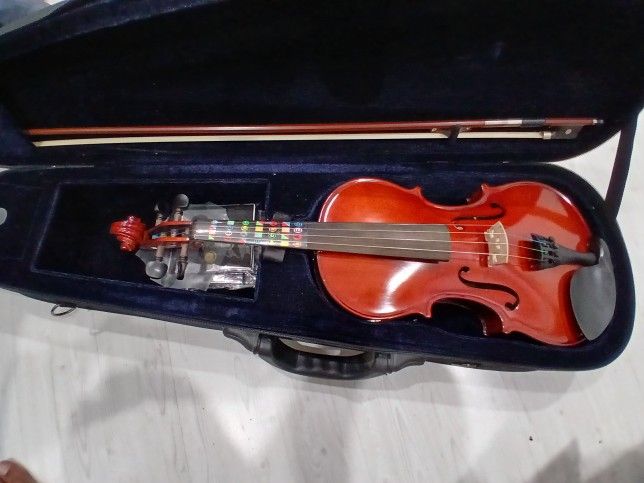 Violin
