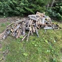 Free Camping Firewood 