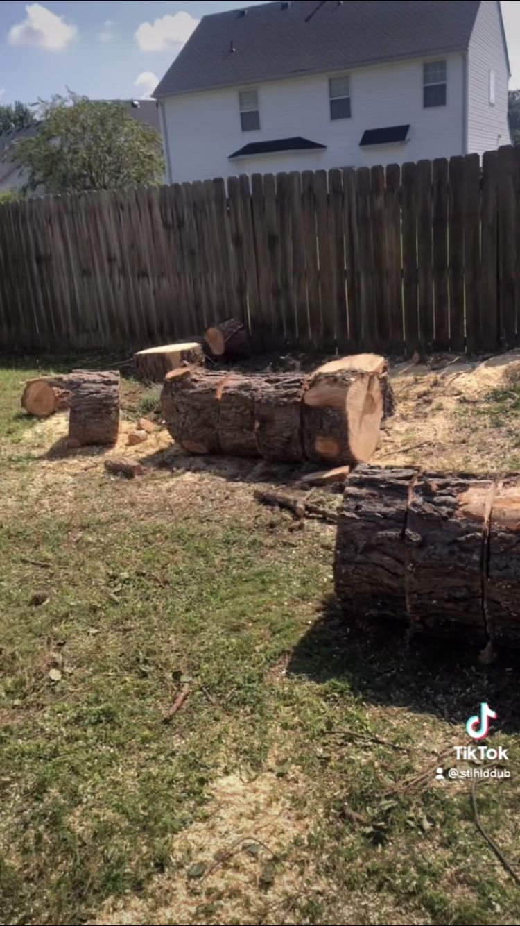 Free Firewood 