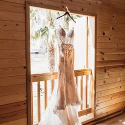 Wedding Dress And Veil