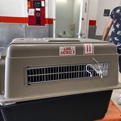 Boxi Large dog box, for traveling by plane