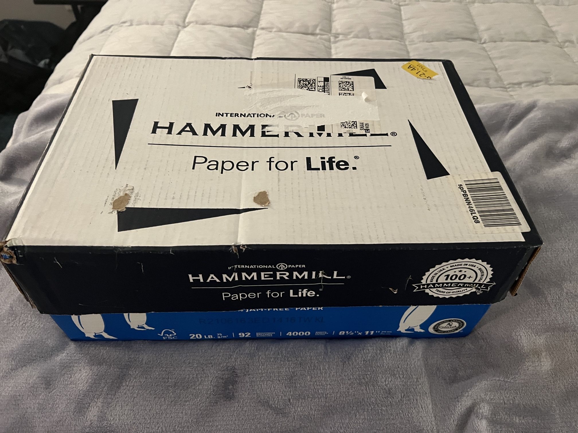 Case Of Hammermill Printer Paper