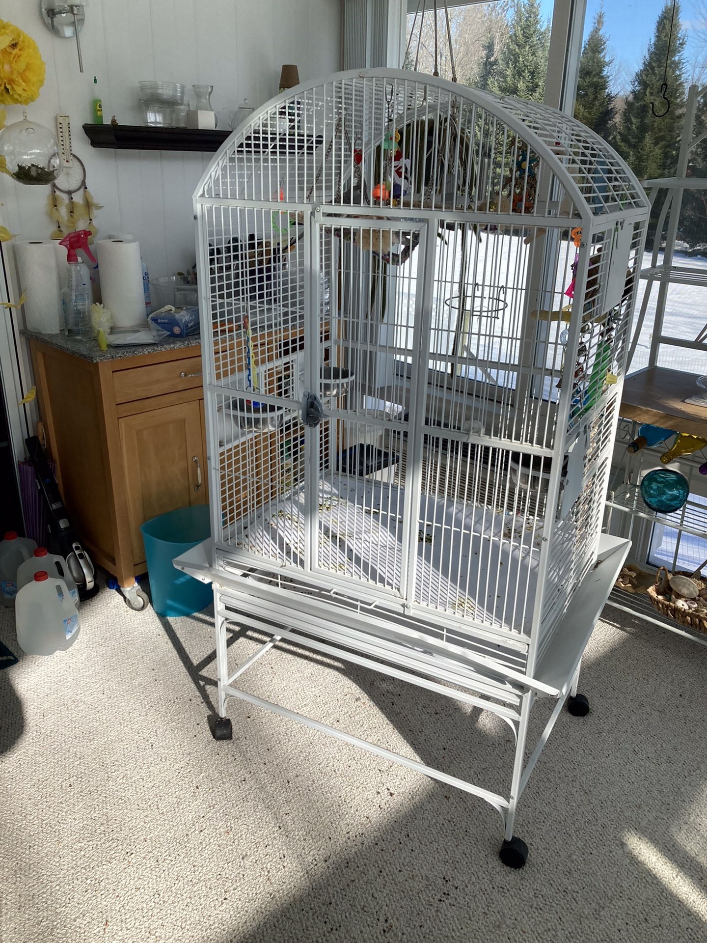 Bird Cage And 2 Cockatiels