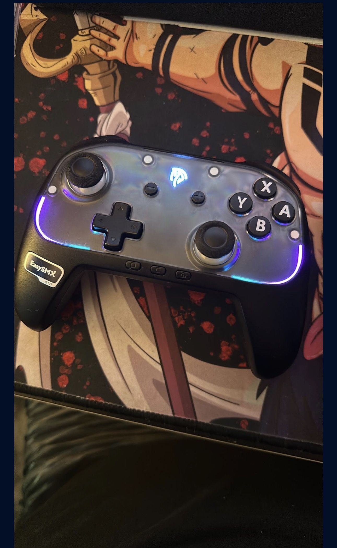 switch 2 pro controller