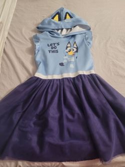Bluey dress