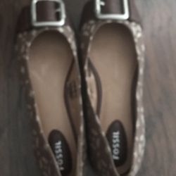 Fossil Flats 8M New