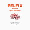 ThePelfixThriftStop