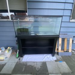 75 Gallon Fish Take With Stand Heater And Filter