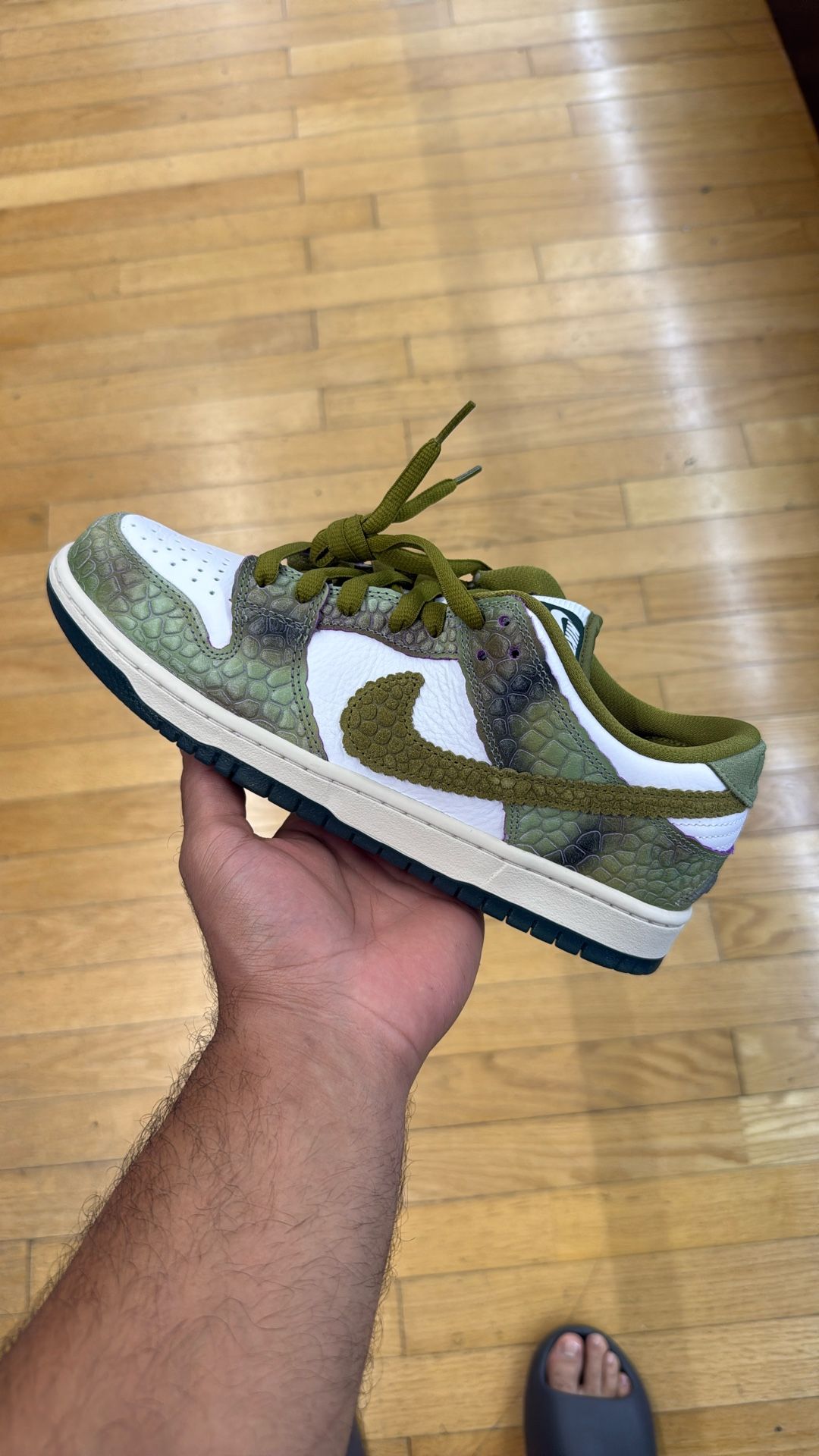 Chameleon Dunks Size 10 Brand New $170