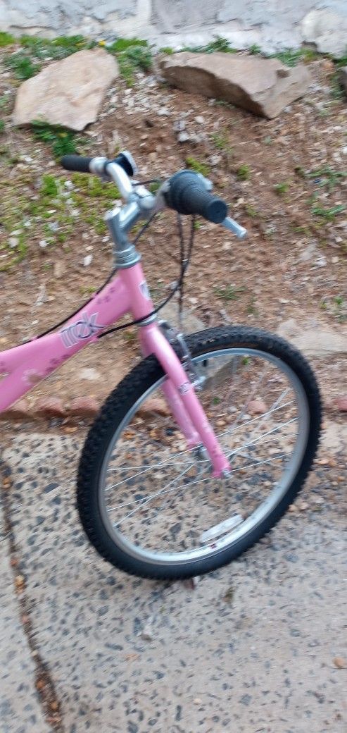 Trek 220