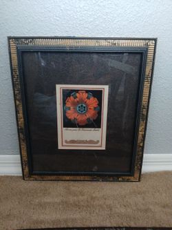 Framed Botanical Flower Print with Gold Frame