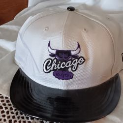 Chicago Bulls Hat Fiited 7.5 