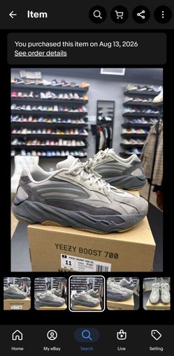 Yeezy boost 700 v2 tephra