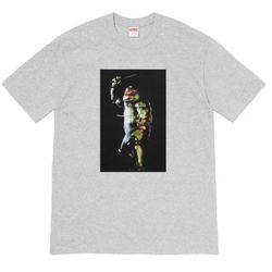 Supreme Raphael Tee