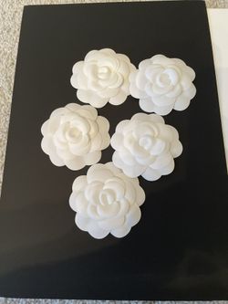 CoCo Camellia Flowers 