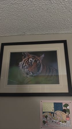 Tiger Fire