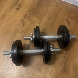 York Dumbbells 30LB total