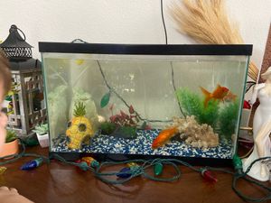 New And Used Fish Tank Decorations For Sale In Spring Hill Fl