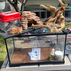 Reptile Terrarium