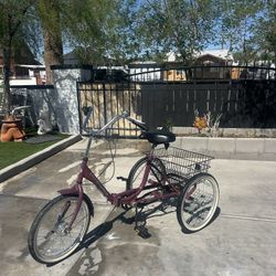 Adventurer Dark Purple 3 Wheel Bike 