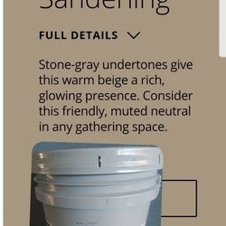 Exterior Super Paint *satin* 🚫No White 🚫