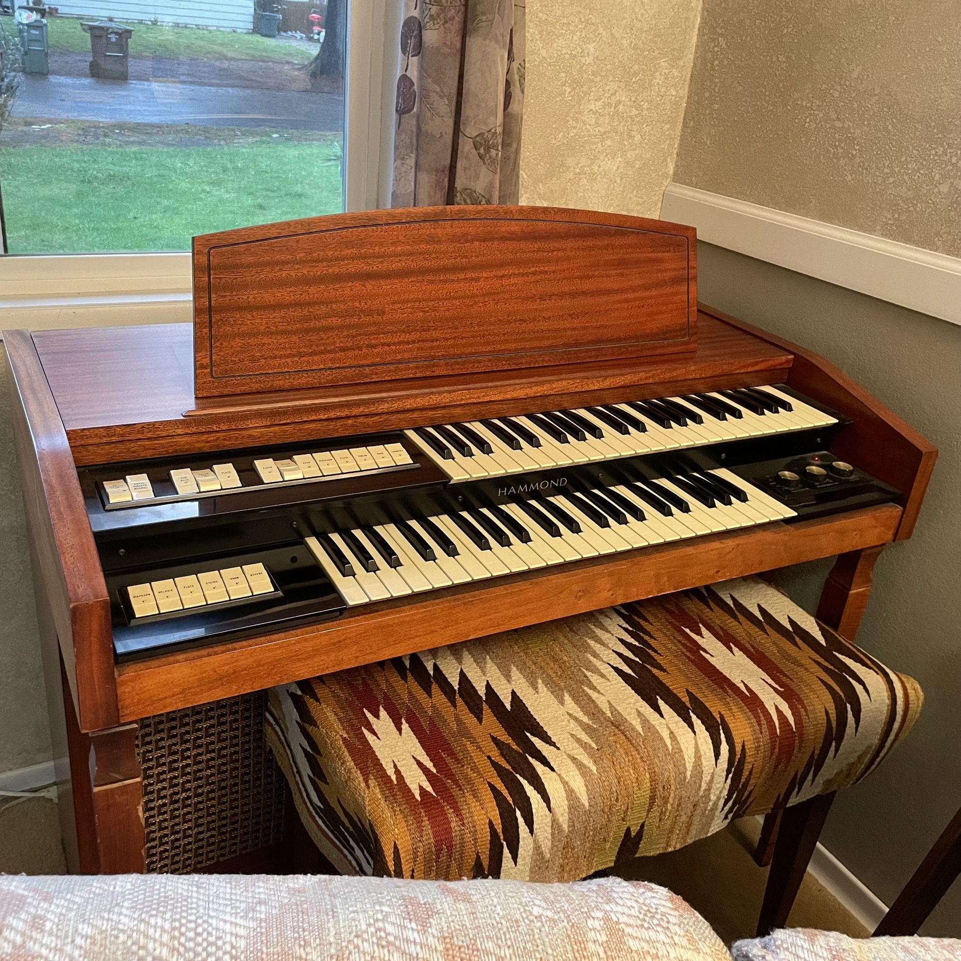 Electric Organ - Hammond