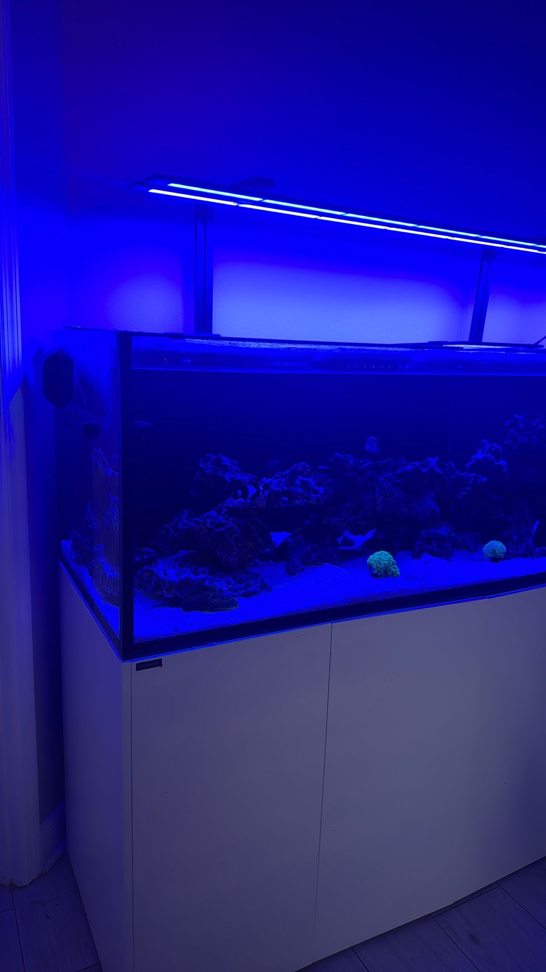 220 Saltwater Aquarium For Sale!!