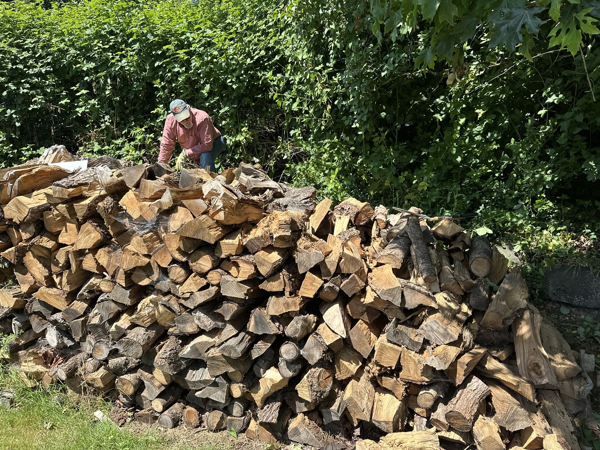 Seasoned Wood For Sale