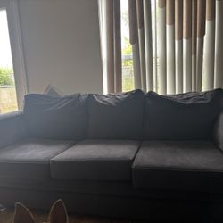 1 large gray couch 