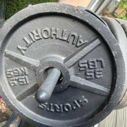 Weights Dumbbell Curl Bar Squat Rack Bench 