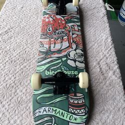 New Birdhouse Skateboard