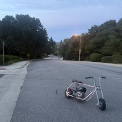 Size 6 Frame Mini Bike