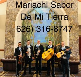 Mariachis Mariachi live