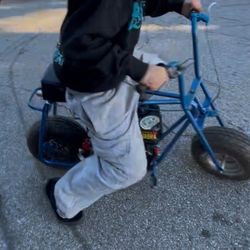 mini bike doodle bug