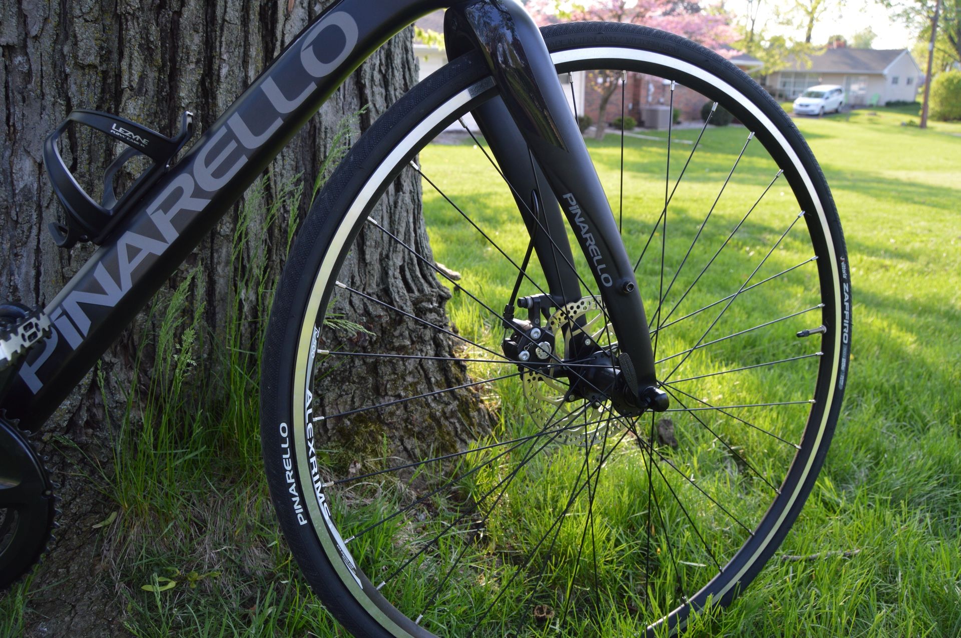 pinarello mercurio carbon disk