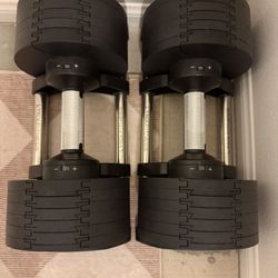 Lynx Adjustable Dumbbells