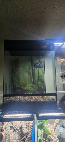 Reptile Tank for Gecko