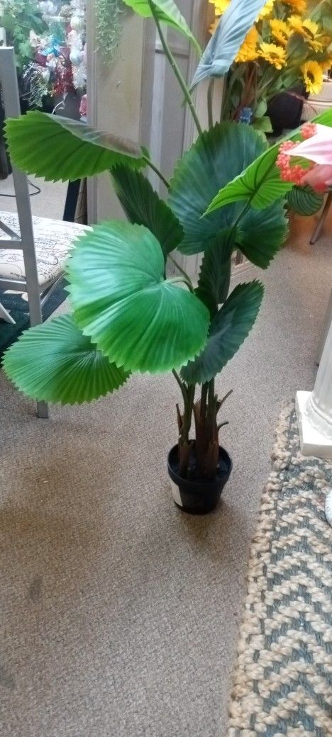 New Artificial Silk Tree Looks Real High
