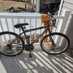 Men’s Roadmaster Mountain Bike