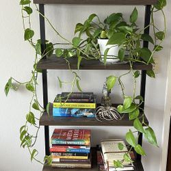 Wall Mounted Book Shelf 