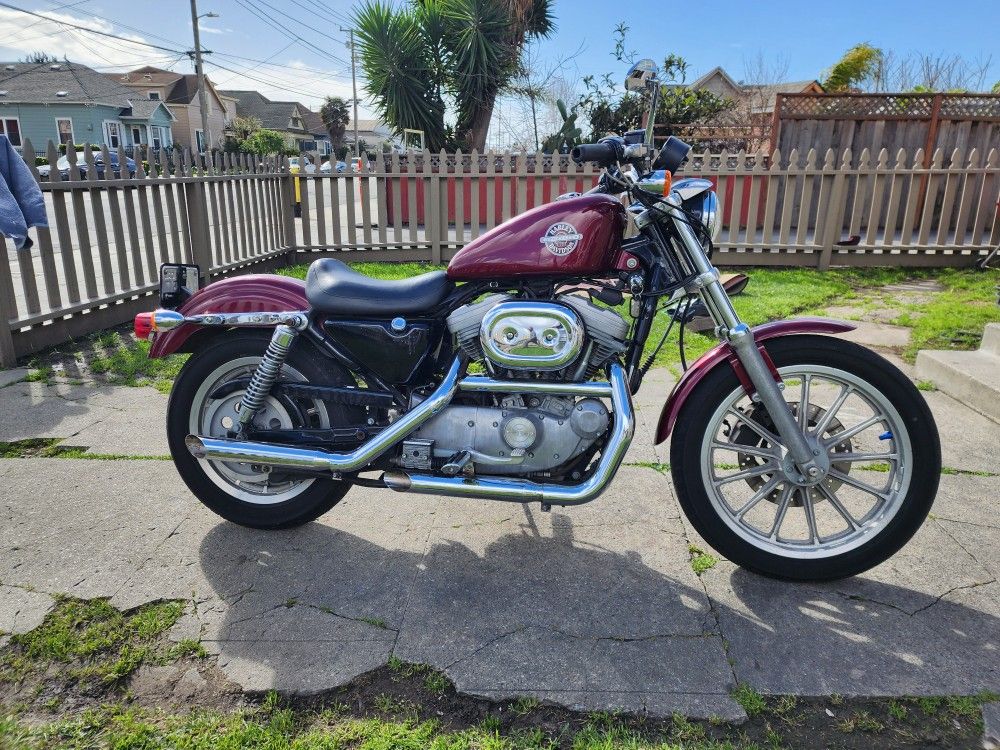 2002 Harley Davidson 883 Sportster