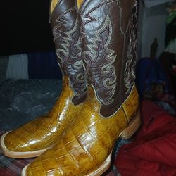 Crocodile Belly 🐊 Boots 