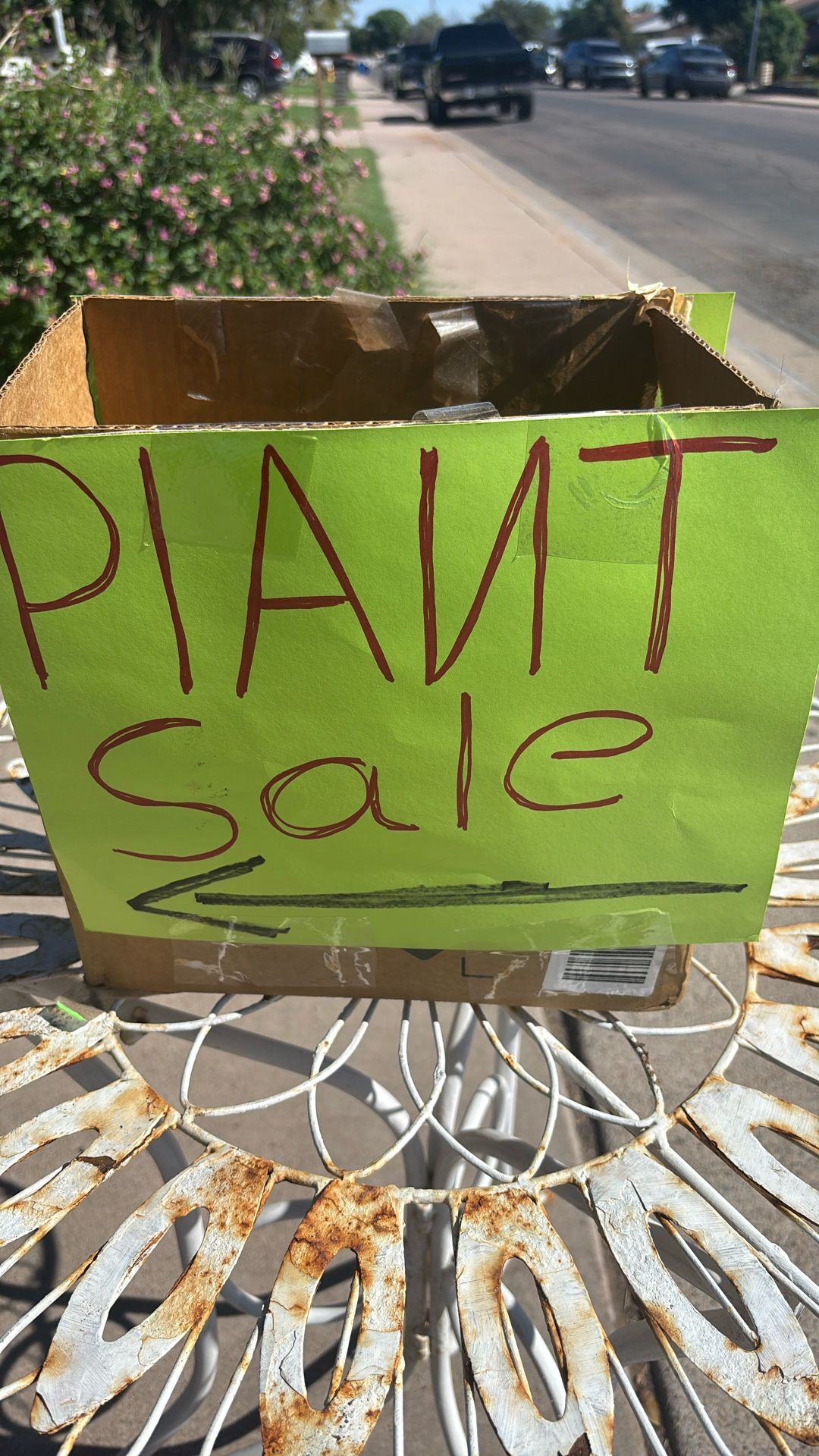 Easy Plants