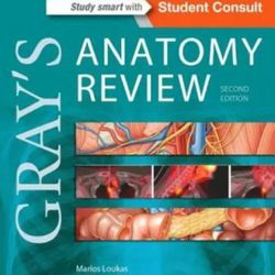 Gray's Anatomy Review 