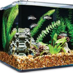 Live Frameless Planted Aquarium 3 Gal With Beautiful Fish 