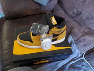 Jordan 1 POLLEN 