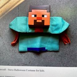 Minecraft – Steve Halloween Costume For Kids