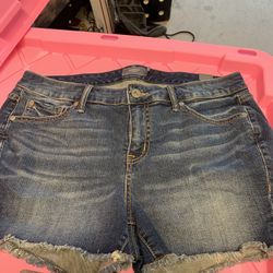 New Torrid Shorts