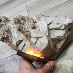 45 Pound Piece Of Opalized Wood