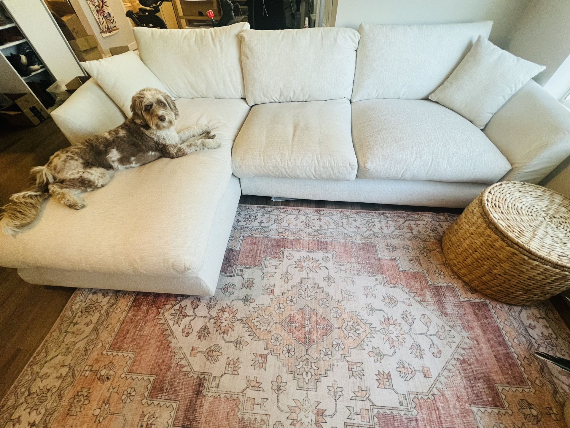 Valyou Feathers Sectional Couch 110”